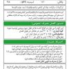 بیوفید اورگان