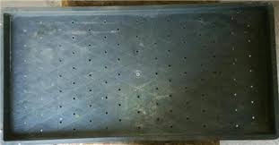 سینی کشت برنج