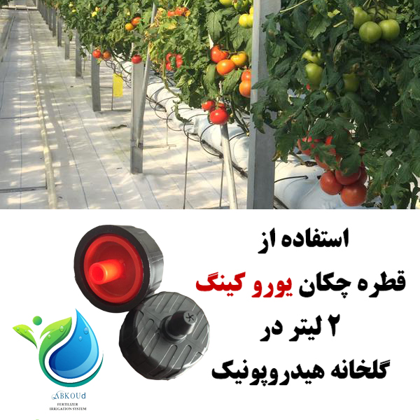 استفاده از قطره چکان یوروکینگ 2 لیتر در ساعت در گلخانه هیدروپونیک_آبکود