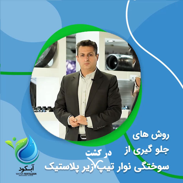 دلایل سوختگی نوارتیپ درکشت زیر پلاستیک و روش های جلوگیری از آن_آبکود