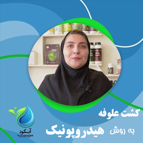 کشت علوفه به روش هیدروپونیک _ آبکود