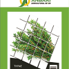 بذر آویشن(thyme)_abkoud