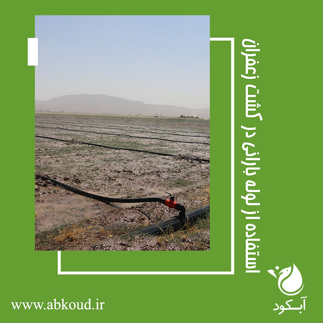 فیلم آموزشی استفاده از لوله بارانی در کشت زعفران_آبکود