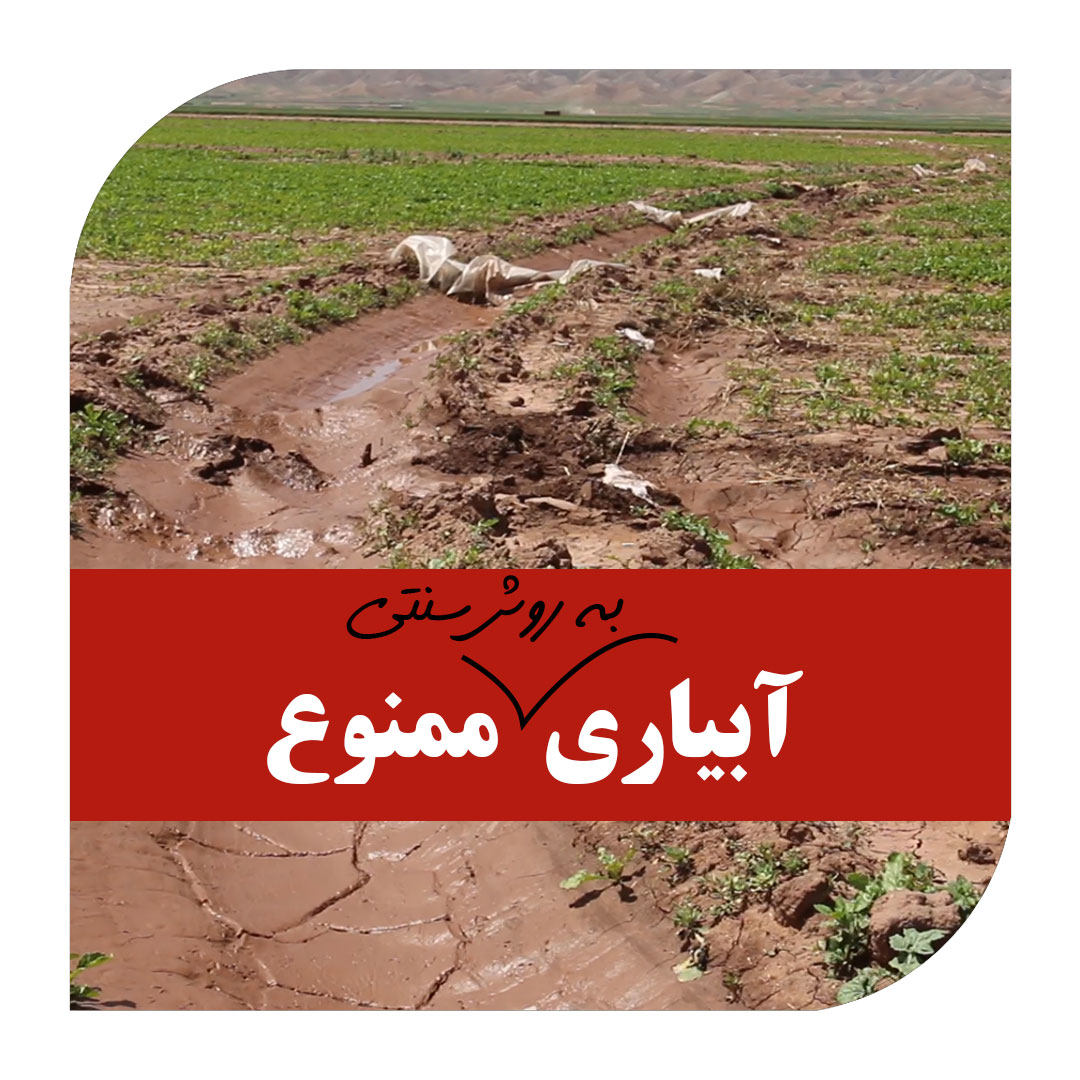 آبیاری به روش سنتی ممنوع_آبکود