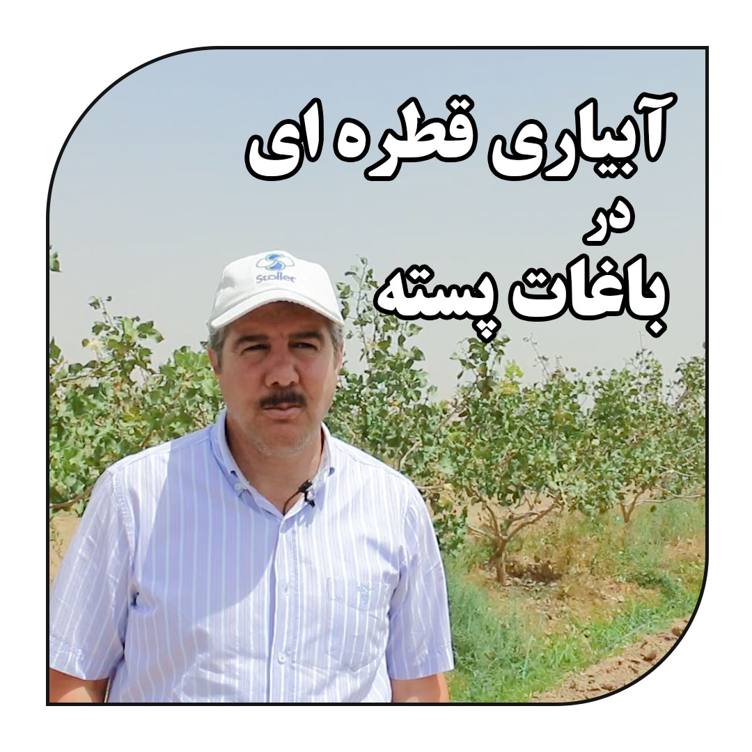 آبیاری قطره ای در باغات پسته_آبکود