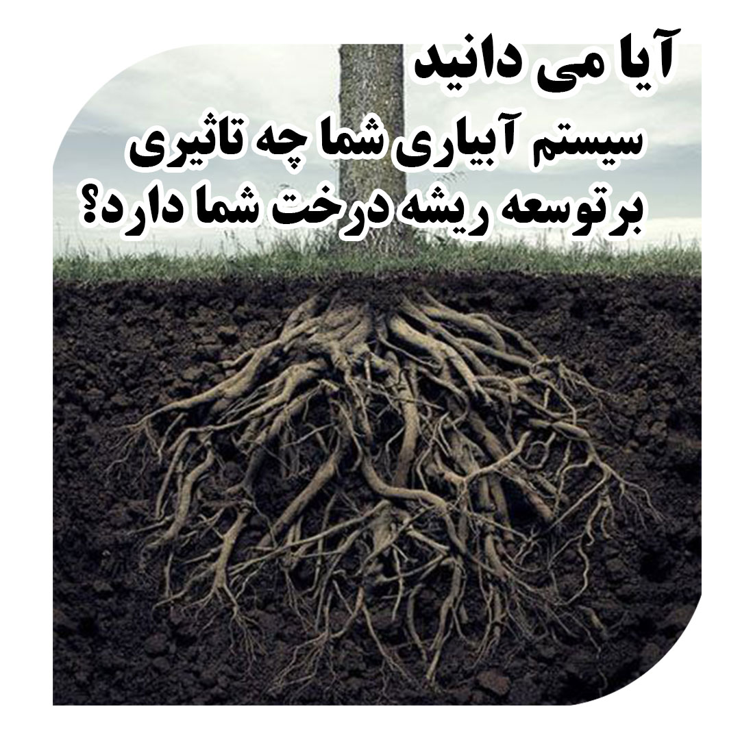 آیا می دانید سیستم آبیاری شما چه تاثیری بر توسعه ریشه درخت شما دارد؟_آبکود