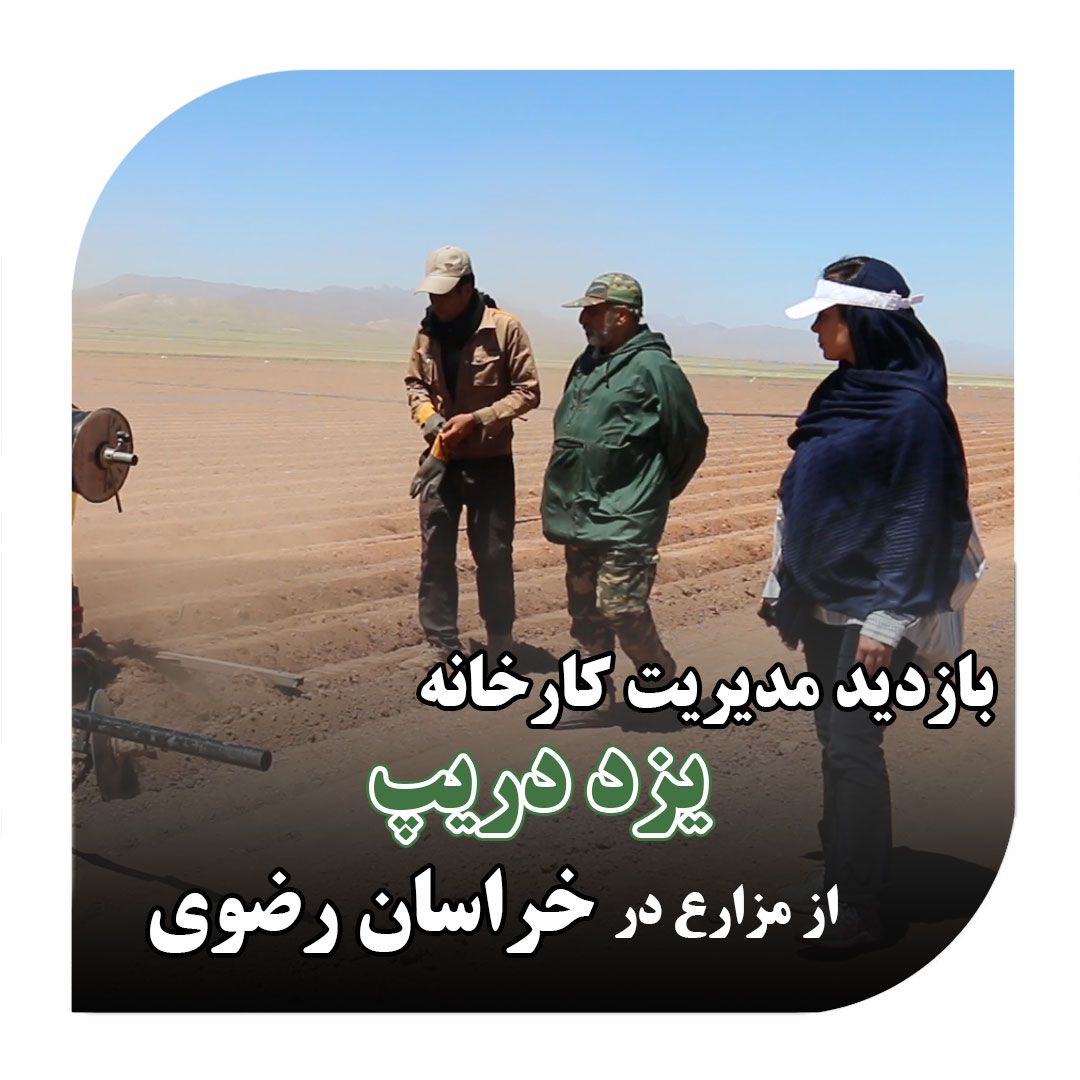 بازدید مدیریت کارخانه یزددریپ از مزارع در خراسان رضوی_آبکود