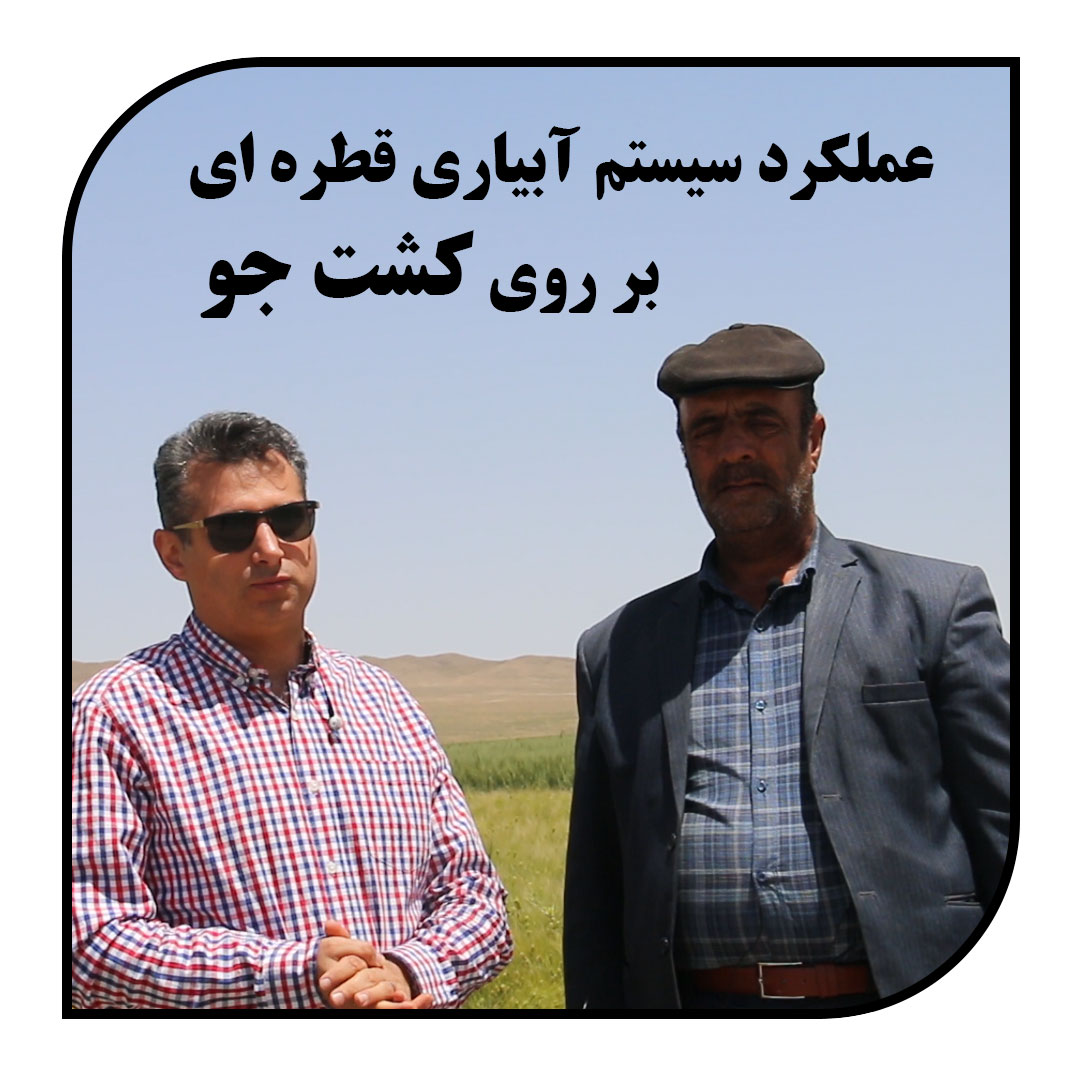 عملکرد سیستم آبیاری قطره ای بر روی کشت جو_آبکود