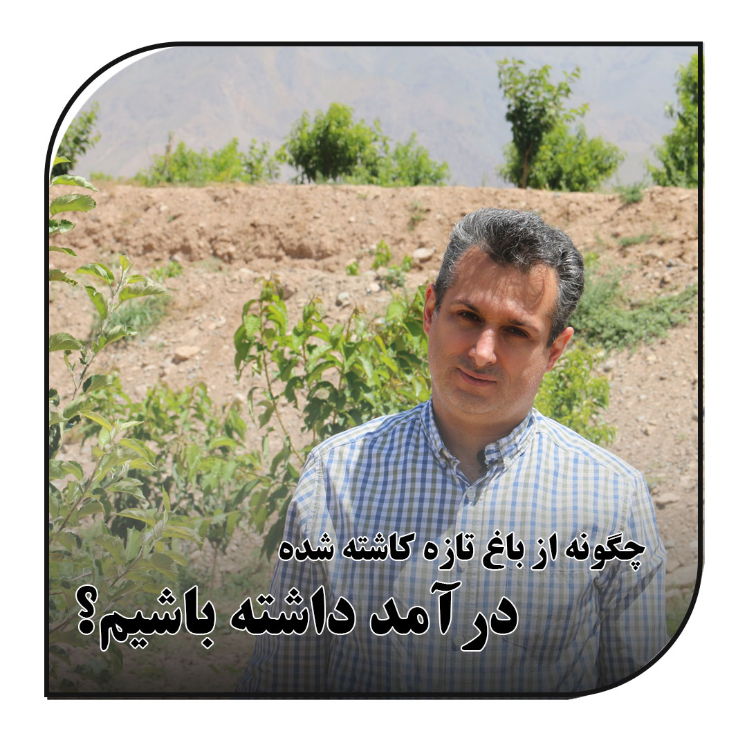 چگونه از باغ تازه کاشته شده ، درآمد کسب کنیم؟_آبکود