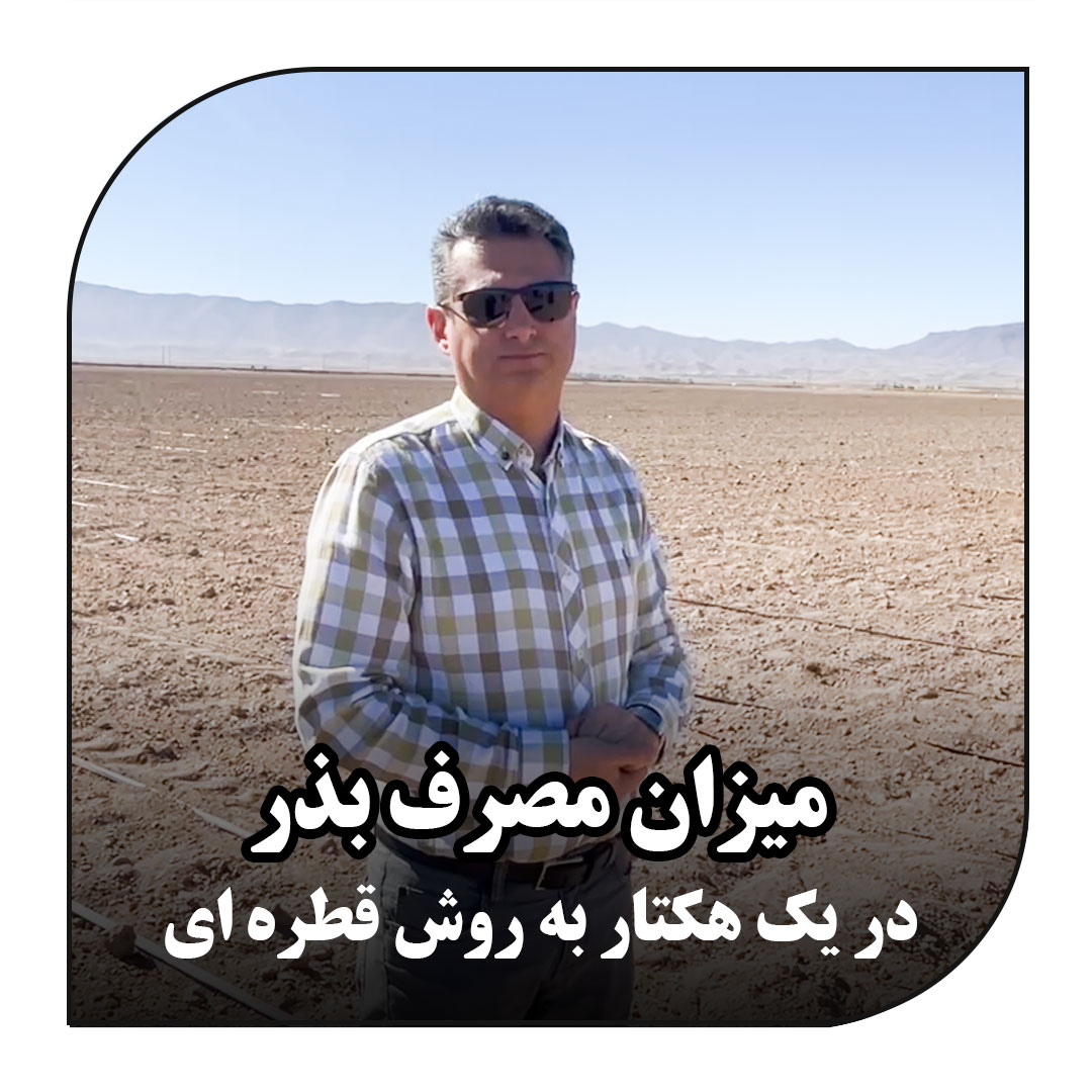 میزان مصرف بذر در یک هکتار به روش قطره ای_آبکود